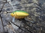 wobler HEGEMON Scarab dł.3cm / 2,6gr / pływający / kolor Złoto-zielony
