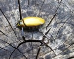wobler HEGEMON Scarab dł.3cm / 2,6gr / pływający / kolor Czarno-złoty
