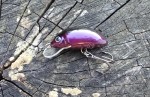 wobler HEGEMON Gusano dł.3,5cm / 2,5gr / pływający /  kolor fioletowo czarny